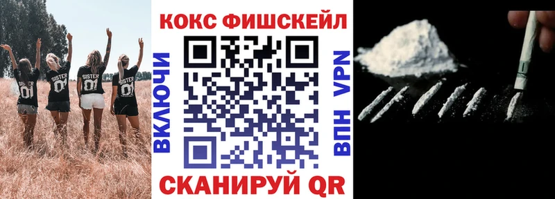 Cocaine Fish Scale  купить наркотик  blacksprut   Пущино 