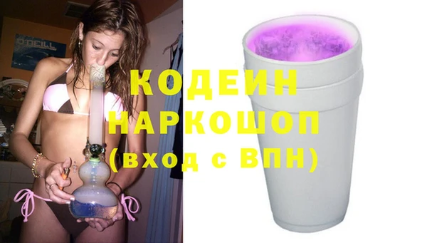 прущие грибы Алзамай