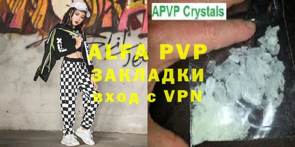 шишки Осинники