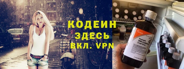 прущие грибы Алзамай