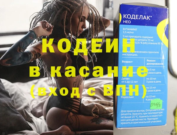 шишки Осинники