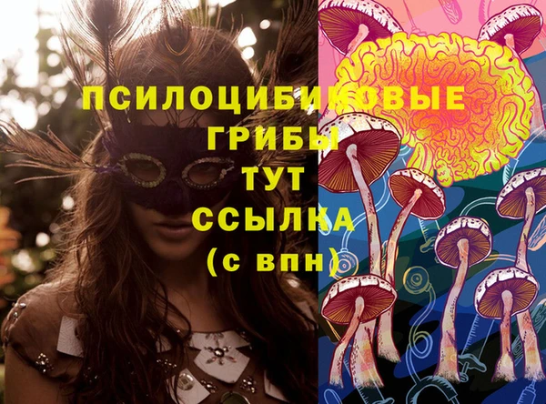 2c-b Алексин