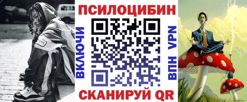 Псилоцибиновые грибы Psilocybe закладка hydra вход Пущино